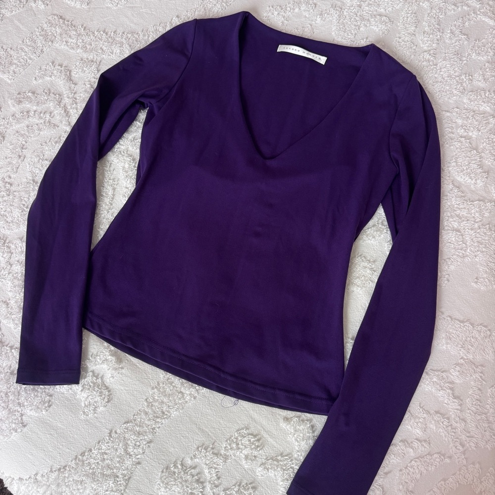 Susana Monaco Purple Long Sleeve V-Neck Top